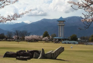 Akasaka Park -- Dragon Park (赤坂台総合公園)