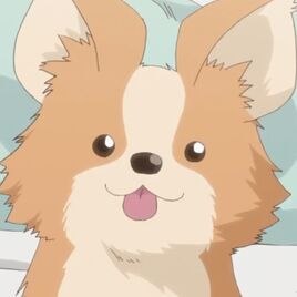 Chikuwa face