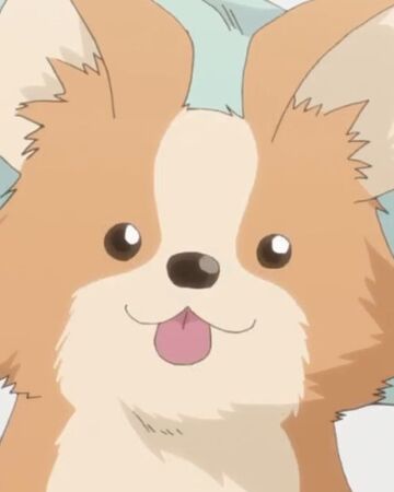photo Dogs Pfp Cute chikuwa yuru camp wiki fandom