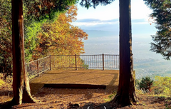 The observation deck IRL