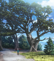 2.10 Byakushin Forest