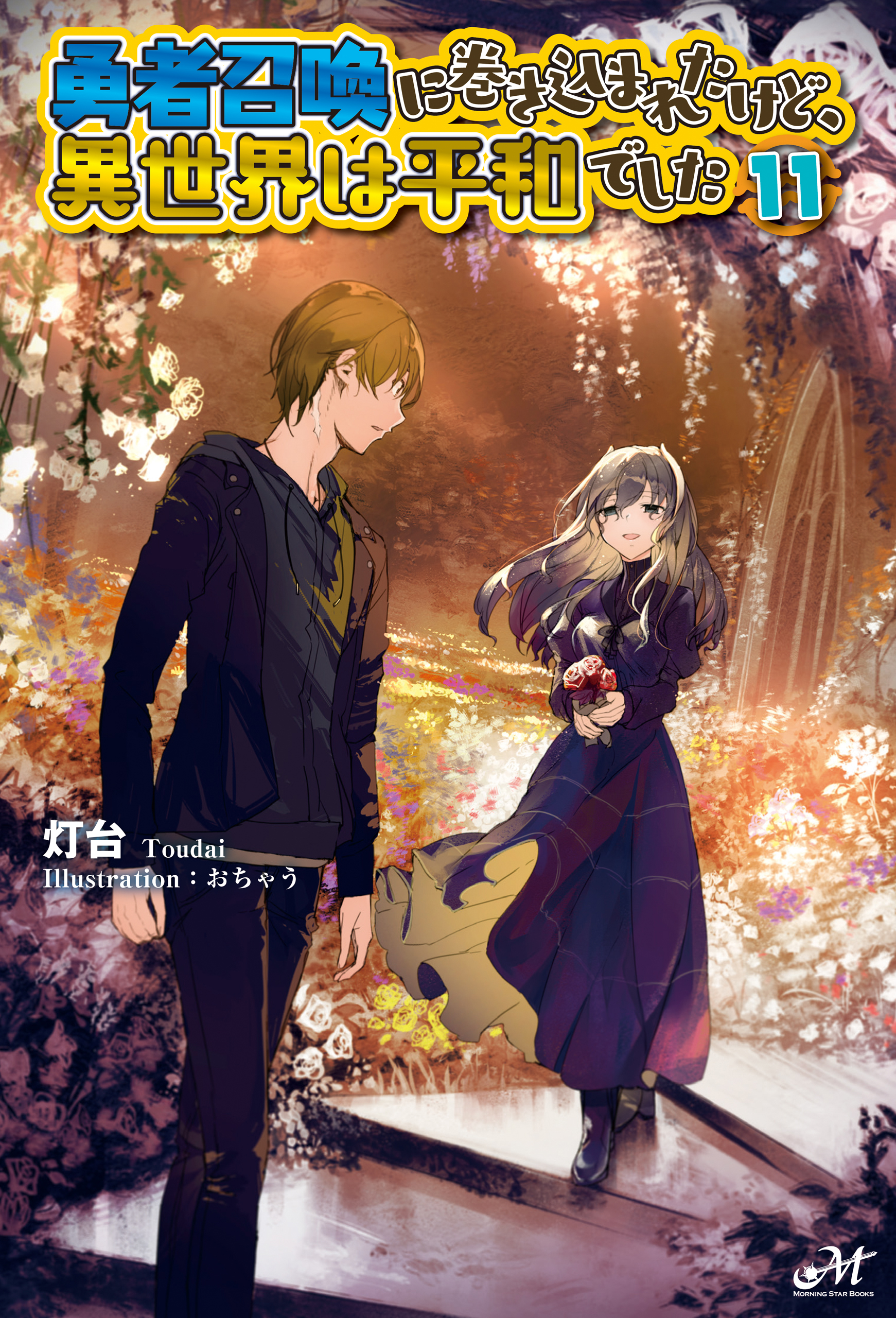 Light Novel Volume 11 | I Was Caught up in a Hero Summoning