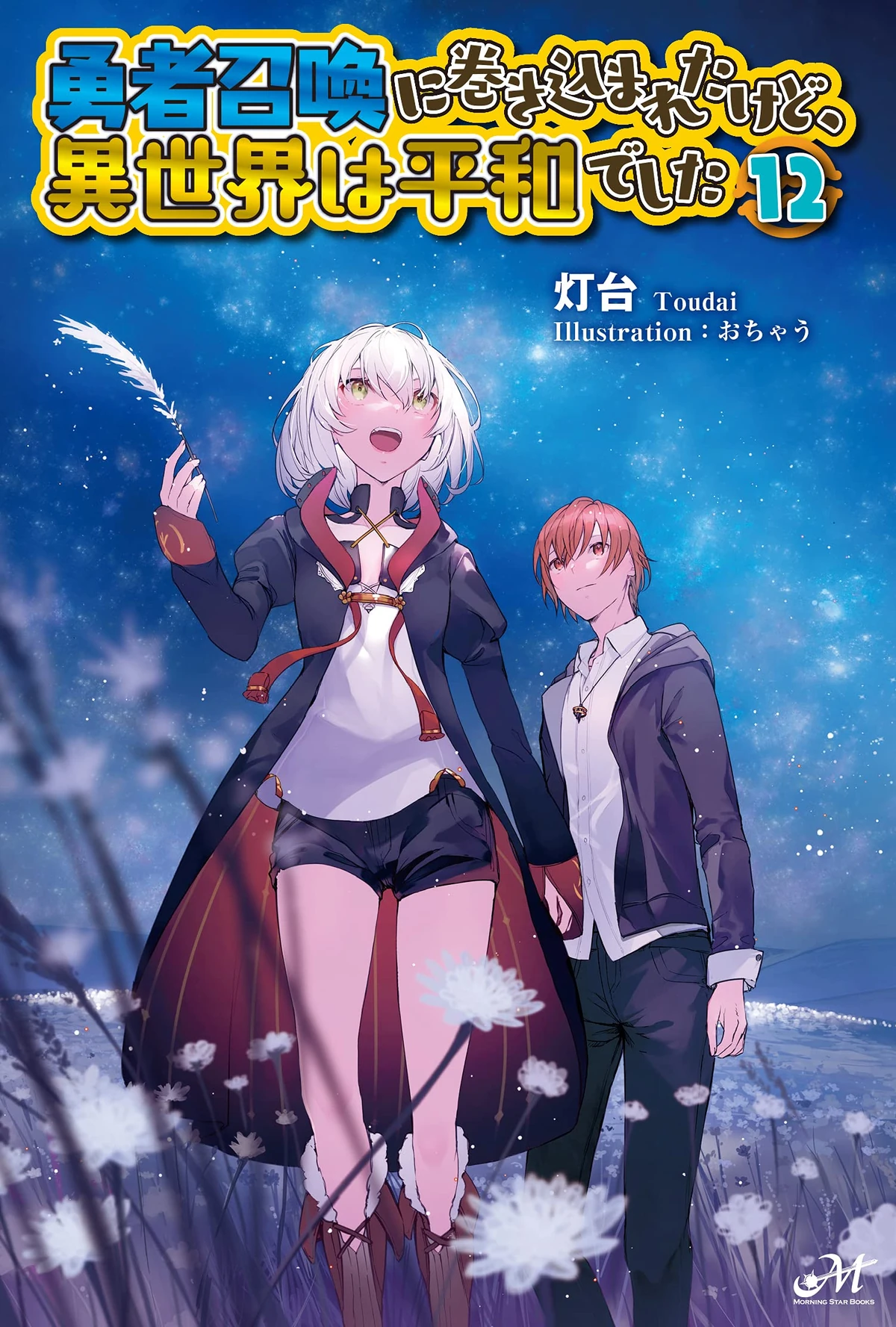 Light Novel Volume 12 | I Was Caught up in a Hero Summoning Wiki
