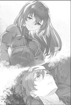 Light Novel Volume 11 | I Was Caught up in a Hero Summoning