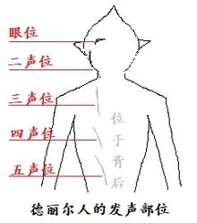 德丽尔人的发声部位.jpg