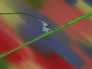 Chō Kagon Retsuzanshi,