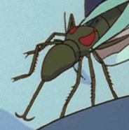 Makaiinsect.gif