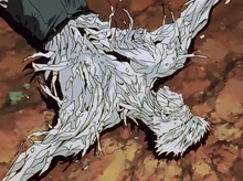 Screenshot 78