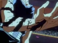 Hiei's arm because of the Darkness Flame Attack.