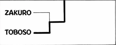 TobosoVsZakuro