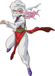 Masked Fighter (GBS) 1.png