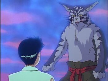 nekotama-yuyu-hakusho-wiki-fandom