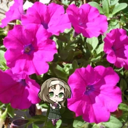 User Blog Andigtz Hanakotoba 花言葉 Yuuki Yuuna Is A Hero Wiki Fandom
