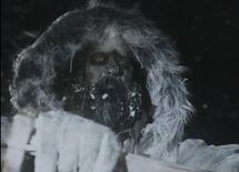 Zombie dogsled driver