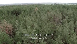 Blackhills