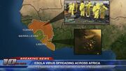 News of the zombie outbreak in West Africa.