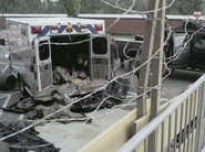 The dead lay about McCandles' Tower