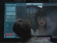 Daisy 2.jpg (114 KB)