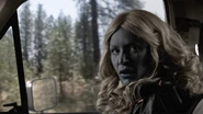 ZNation gallery 401Recap 09.jpg (219 KB)