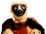 Zoboomafoo (character)