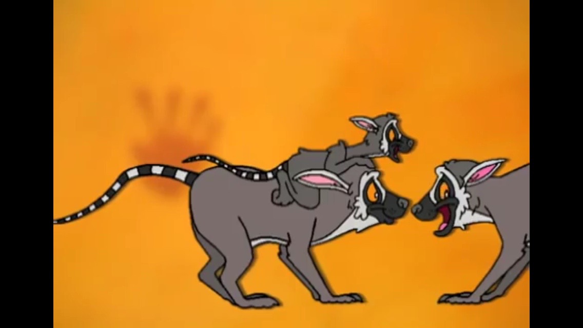 Ring-tailed Lemur | The Zoboomafoo Wiki | Fandom