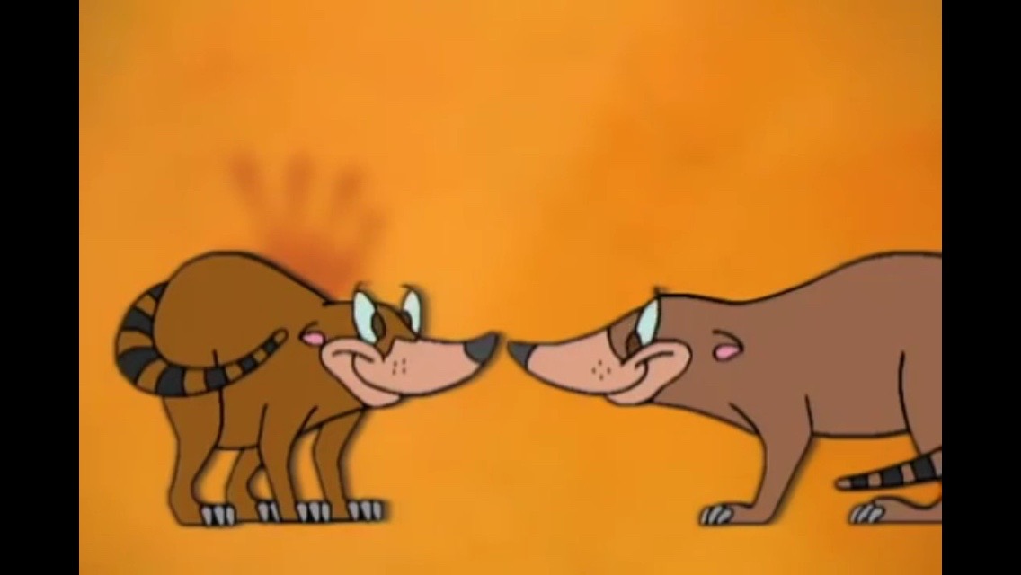 Coatis The Zoboomafoo Wiki Fandom