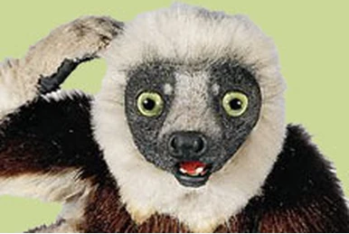 zoboomafoo gooble