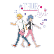 True Love Adrien and Marinette