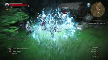 Geralt W3 Aard