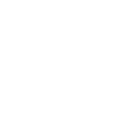 Wiki