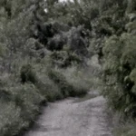 Українські Рівні (179 КБ) Рівні