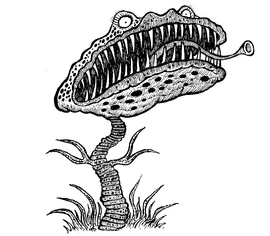 Blümchen