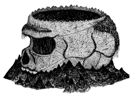 Schädel