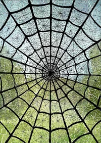 Waldspinnenhexennetz