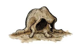 Aufgelöster Sandmann