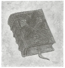 Kraakenfiekerhandbook