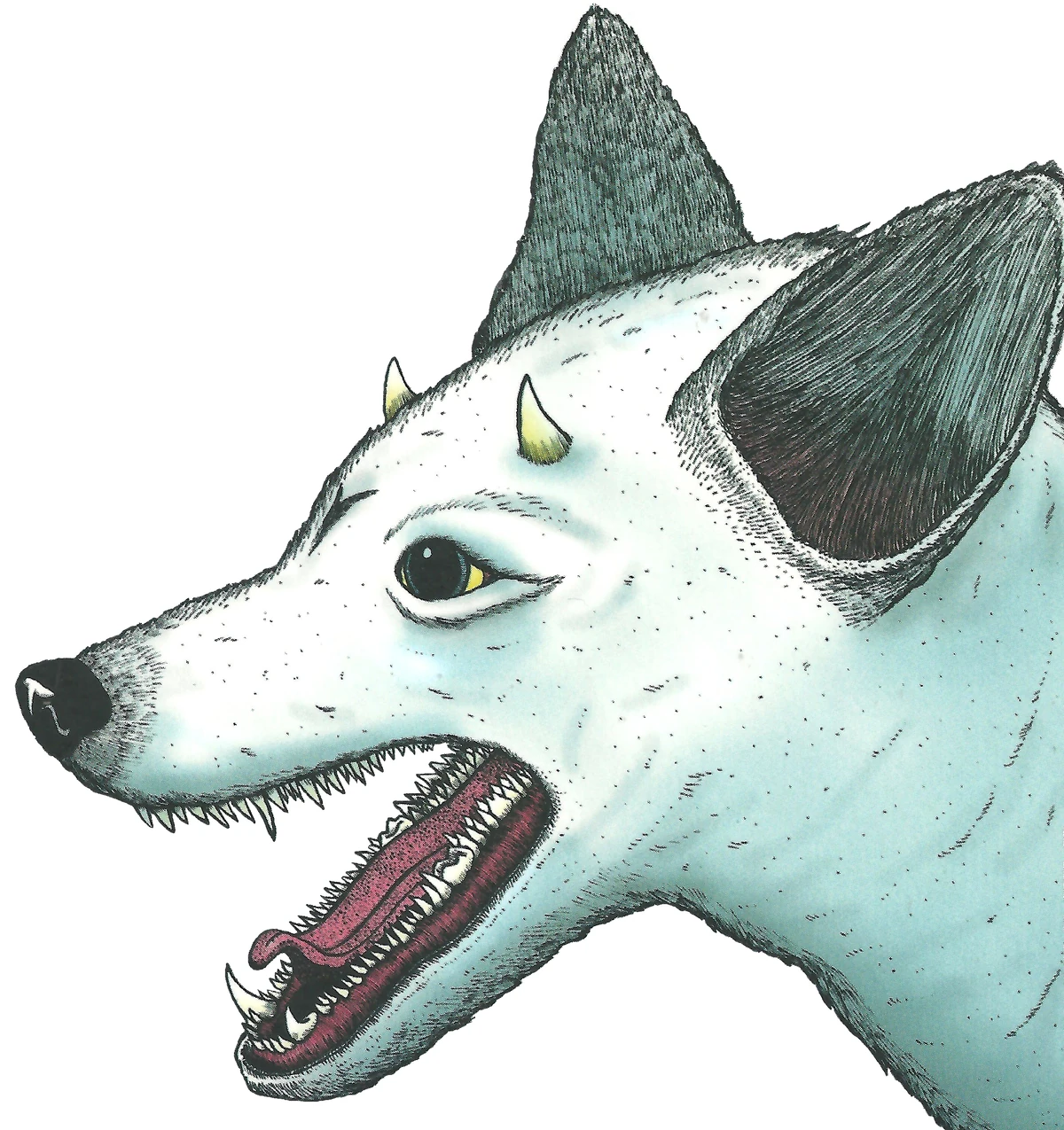 Rumo von Zamonien Zamonien Wiki Fandom