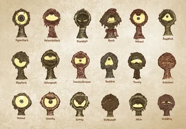 Gefühlsausdrücke der Buchlinge