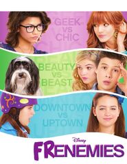 Frenemies Poster