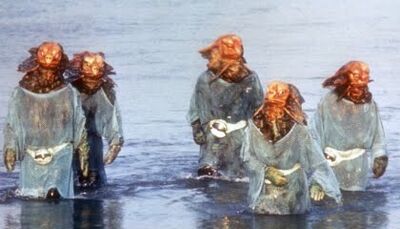 Sea Devils.jpg