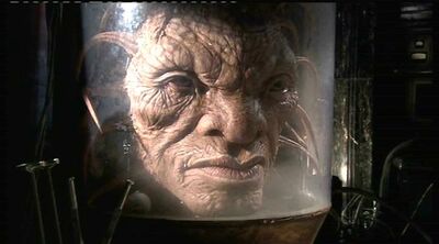 The Face of Boe