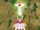 Saifojio
