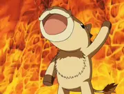 Ponygon is the last one left