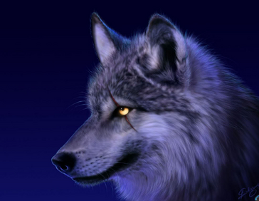 Bardulfwolf.png