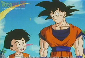 Goku and Krillin