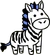 Adult Zebra