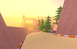 Level 20