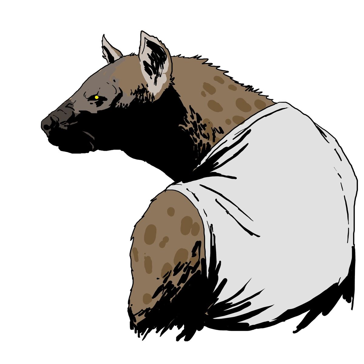 Pardo | Zeitgeistier Wiki | Fandom