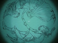 Nox Matin Together