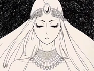 Shamshir in Ristaccia